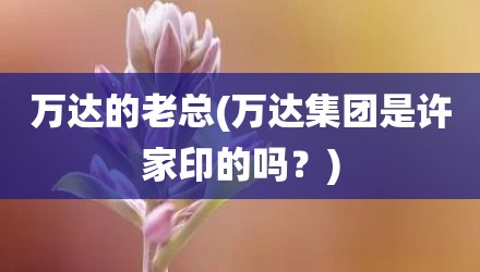 万达的老总(万达集团是许家印的吗？)
