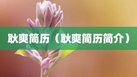 耿爽简历(耿爽简历简介)