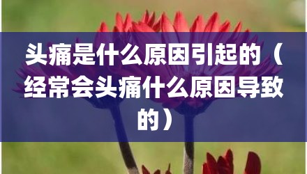 头痛是什么原因引起的（经常会头痛什么原因导致的）