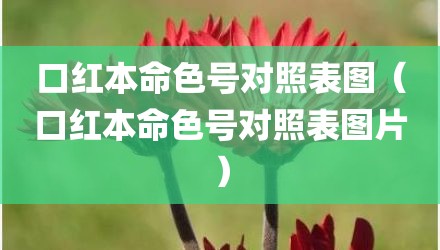 口红本命色号对照表图（口红本命色号对照表图片）
