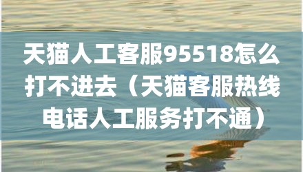天猫人工客服95518怎么打不进去(天猫客服热线电话人工服务打不通)