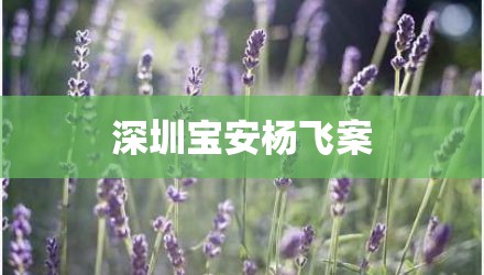 深圳宝安杨飞案