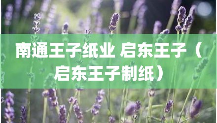 南通王子纸业 启东王子（启东王子制纸）