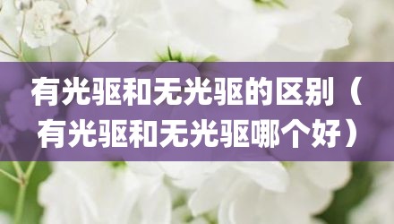 有光驱和无光驱的区别（有光驱和无光驱哪个好）