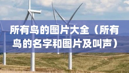 所有鸟的图片大全(所有鸟的名字和图片及叫声)