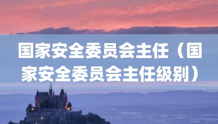 国家安全委员会主任（国家安全委员会主任级别）