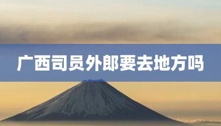 广西司员外郎要去地方吗