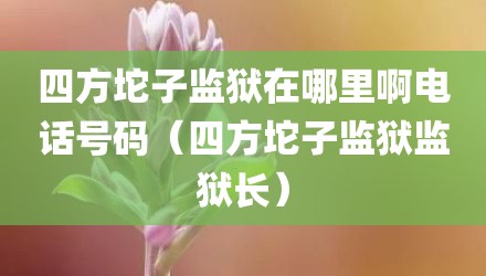四方坨子监狱在哪里啊电话号码(四方坨子监狱监狱长)