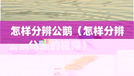 怎样分辨公鹅（怎样分辨公鹅母鹅的视频）