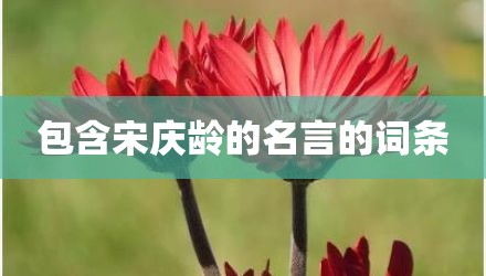 包含宋庆龄的名言的词条