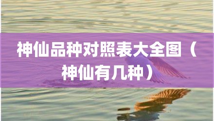 神仙品种对照表大全图（神仙有几种）