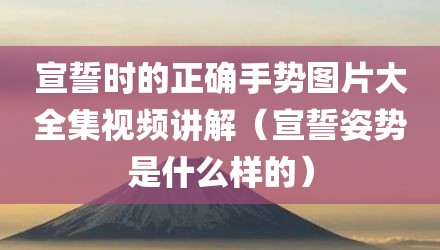 宣誓时的正确手势图片大全集视频讲解(宣誓姿势是什么样的)