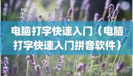 电脑打字快速入门（电脑打字快速入门拼音软件）