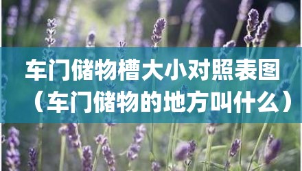 车门储物槽大小对照表图（车门储物的地方叫什么）