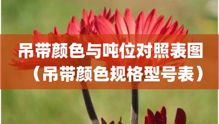 吊带颜色与吨位对照表图（吊带颜色规格型号表）