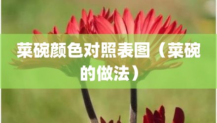 菜碗颜色对照表图（菜碗的做法）