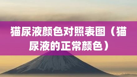猫尿液颜色对照表图(猫尿液的正常颜色)