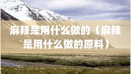 麻辣是用什么做的（麻辣是用什么做的原料）