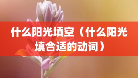 什么阳光填空（什么阳光填合适的动词）