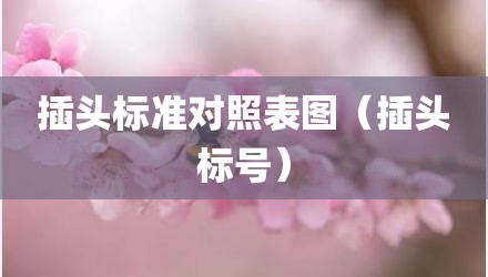 插头标准对照表图（插头标号）