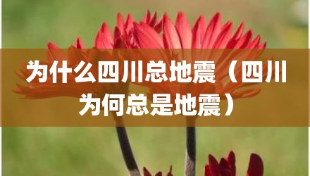 为什么四川总地震（四川为何总是地震）