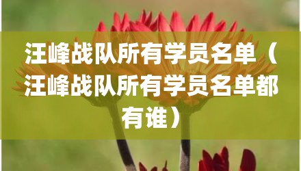 汪峰战队所有学员名单（汪峰战队所有学员名单都有谁）