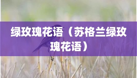 绿玫瑰花语（苏格兰绿玫瑰花语）