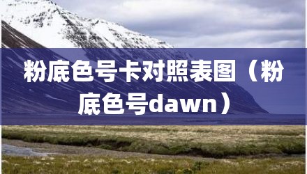 粉底色号卡对照表图（粉底色号dawn）