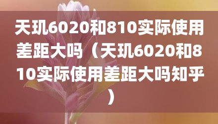 天玑6020和810实际使用差距大吗（天玑6020和810实际使用差距大吗知乎）