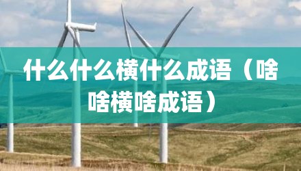 什么什么横什么成语（啥啥横啥成语）