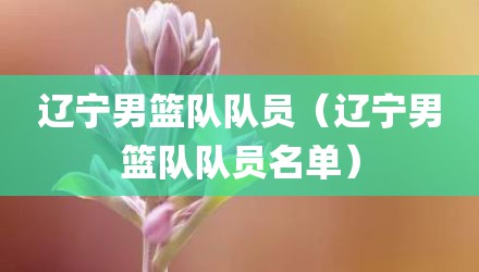 辽宁男篮队队员（辽宁男篮队队员名单）