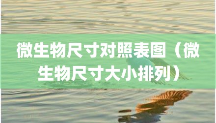 微生物尺寸对照表图（微生物尺寸大小排列）