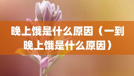 晚上饿是什么原因（一到晚上饿是什么原因）
