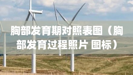胸部发育期对照表图（胸部发育过程照片 图标）