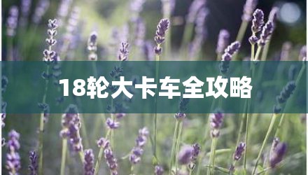 18轮大卡车全攻略