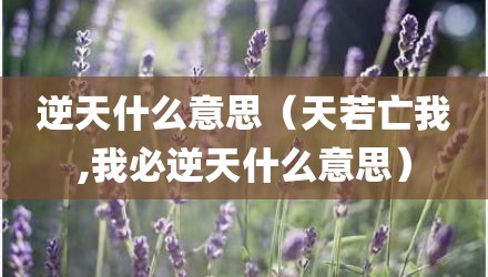 逆天什么意思（天若亡我,我必逆天什么意思）