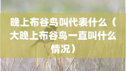 晚上布谷鸟叫代表什么（大晚上布谷鸟一直叫什么情况）