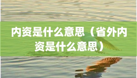 内资是什么意思（省外内资是什么意思）