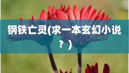 钢铁亡灵(求一本玄幻小说？)
