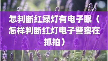 怎判断红绿灯有电子眼（怎样判断红灯电子警察在抓拍）