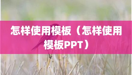 怎样使用模板（怎样使用模板PPT）