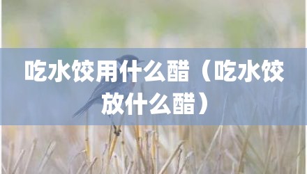 吃水饺用什么醋（吃水饺放什么醋）