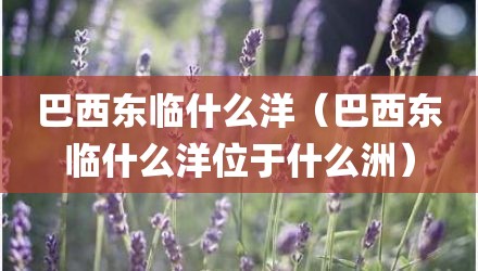 巴西东临什么洋（巴西东临什么洋位于什么洲）