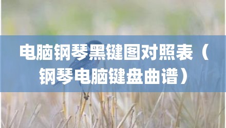 电脑钢琴黑键图对照表（钢琴电脑键盘曲谱）