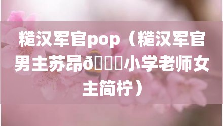 糙汉军官pop（糙汉军官男主苏昂?小学老师女主简柠）
