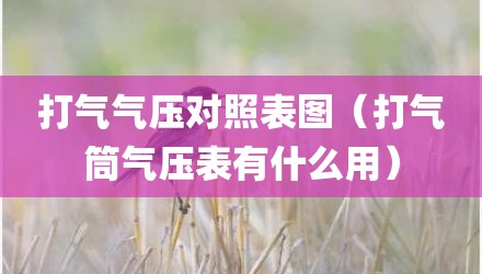 打气气压对照表图（打气筒气压表有什么用）
