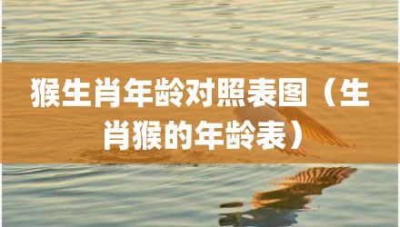 猴生肖年龄对照表图（生肖猴的年龄表）