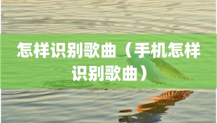 怎样识别歌曲(手机怎样识别歌曲)