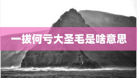 一拔何亏大圣毛是啥意思