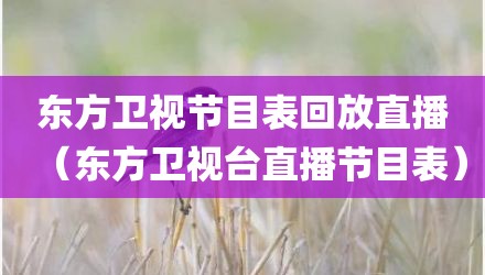 东方卫视节目表回放直播(东方卫视台直播节目表)